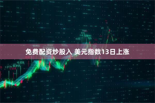 免费配资炒股入 美元指数13日上涨