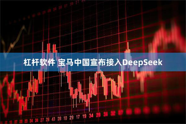 杠杆软件 宝马中国宣布接入DeepSeek