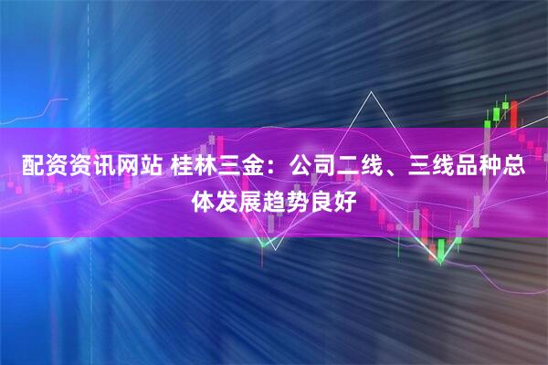 配资资讯网站 桂林三金：公司二线、三线品种总体发展趋势良好
