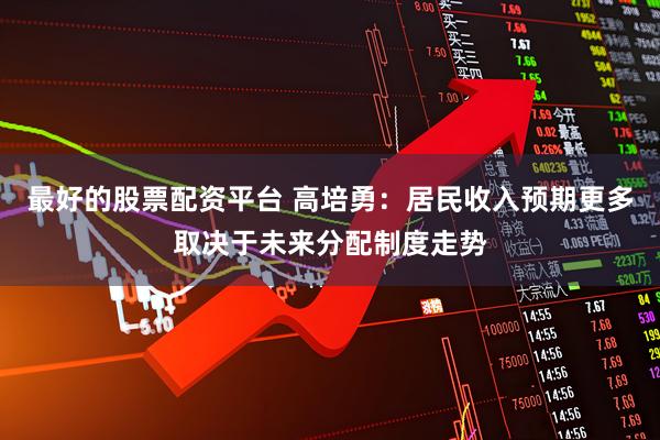 最好的股票配资平台 高培勇：居民收入预期更多取决于未来分配制度走势