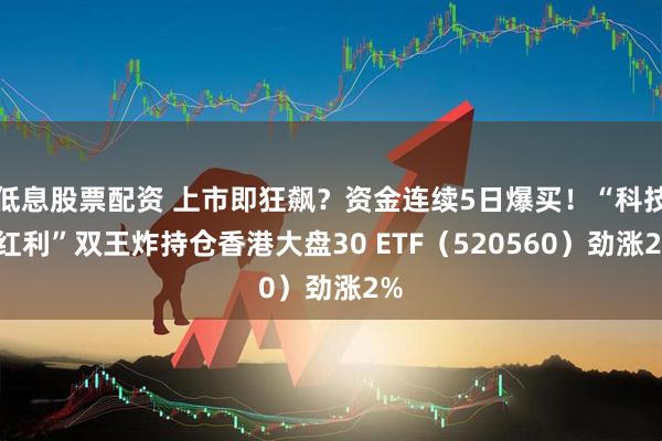 低息股票配资 上市即狂飙？资金连续5日爆买！“科技+红利”双王炸持仓香港大盘30 ETF（520560）劲涨2%
